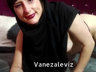 Vanezaleviz