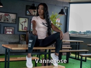 vannerose My Porno Stash