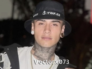 Vectorx073