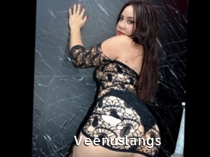 Veenuslangs