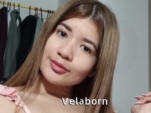 Velaborn