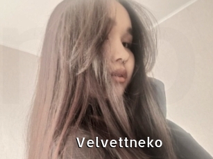 Velvettneko