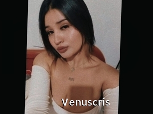 venuscris My Porno Stash