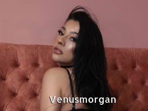 Venusmorgan