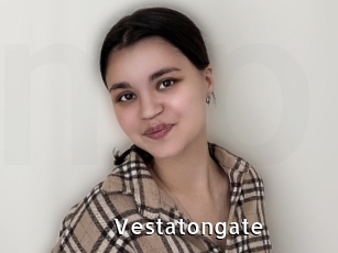 Vestatongate