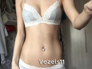 Vezels11