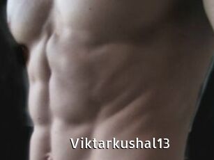 Viktarkushal13