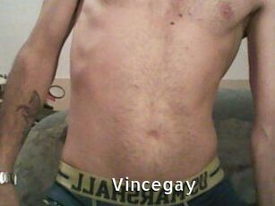 Vincegay