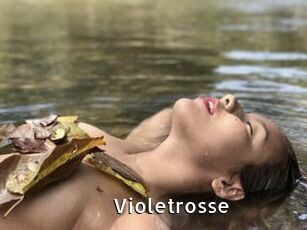 Violetrosse