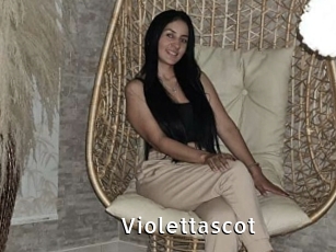 Violettascot