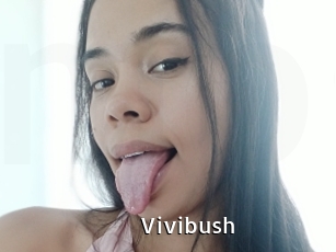 Vivibush