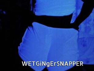 WETGiNgErSNAPPER