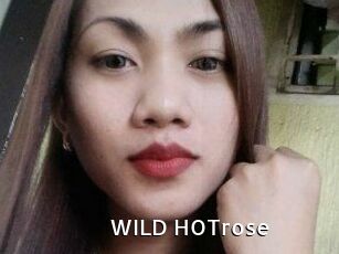 WILD_HOTrose