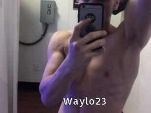 Waylo23