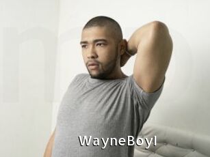 WayneBoyI