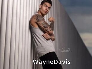 WayneDavis