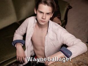 WayneGallager