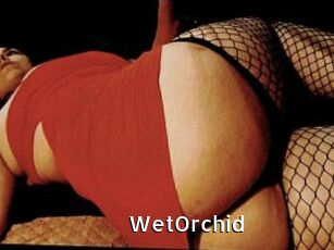 WetOrchid