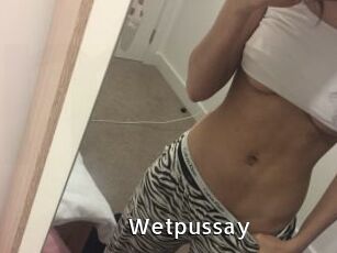 Wetpussay My Porno Stash