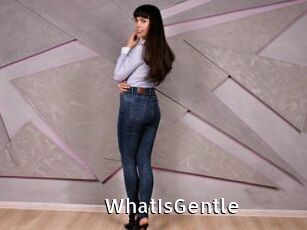 WhatIsGentle