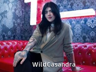 WildCasandra My Porno Stash