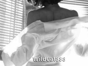 WildCat888