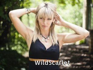 WildScarlet