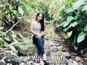 Wild_Rose18