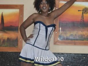 Wildcat30
