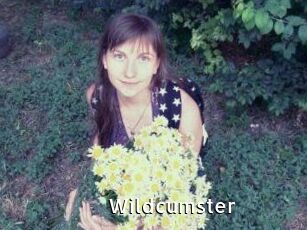 Wildcumster