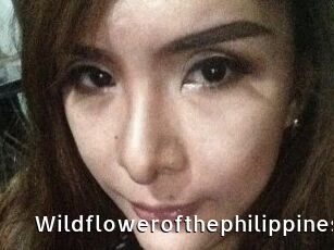 Wildflowerofthephilippines