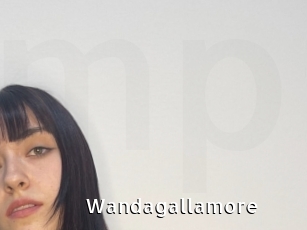 Wandagallamore