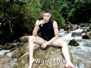 wangxsow My Porno Stash