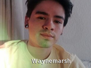 Waynemarsh
