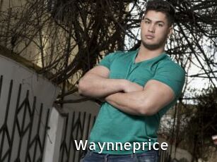 Waynneprice