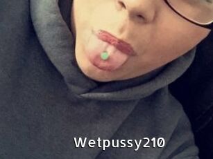 Wetpussy210