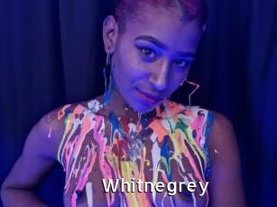 Whitnegrey