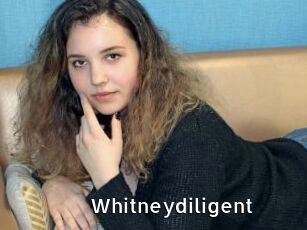 whitneydiligent My Porno Stash