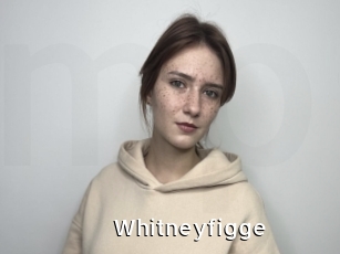Whitneyfigge