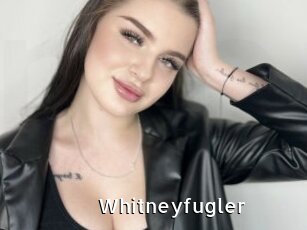 Whitneyfugler