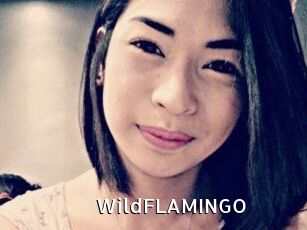 WildFLAMINGO