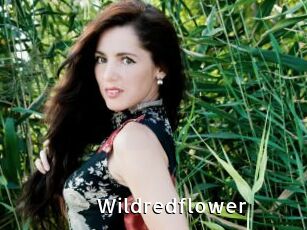 Wildredflower