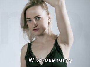 wildrosehorny My Porno Stash