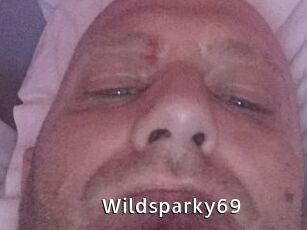 Wildsparky69