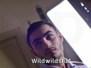 wildwildstud My Porno Stash