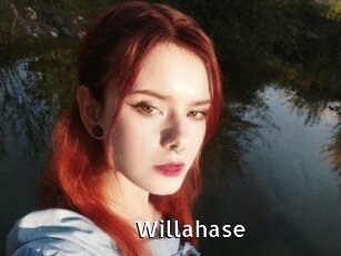 Willahase