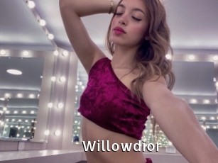Willowdior