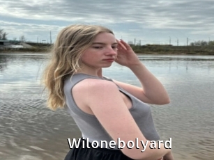 Wilonebolyard