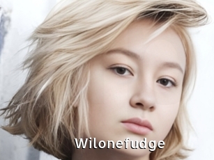 Wilonefudge
