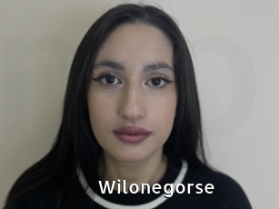 Wilonegorse
